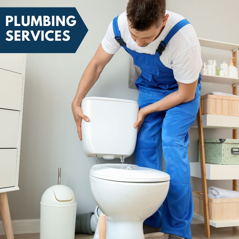 Plumbing Company in Moline, MI